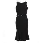 Black Sleeveless Panelled Pencil Dress